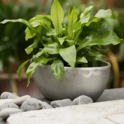 Rough Cast Aluminium Bowl -Garden & Outdoors pr2000028424 card10 lg