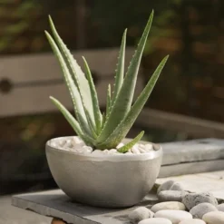 Rough Cast Aluminium Bowl -Garden & Outdoors pr2000028424 card8 lg