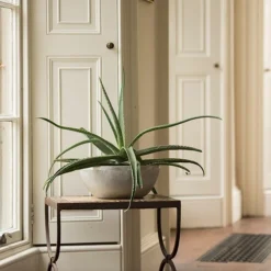 Rough Cast Aluminium Bowl -Garden & Outdoors pr2000028424 card9 lg