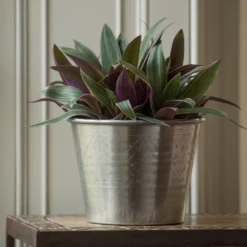 Hand Etched Aluminium Planter -Garden & Outdoors pr2000028556 card6 lg