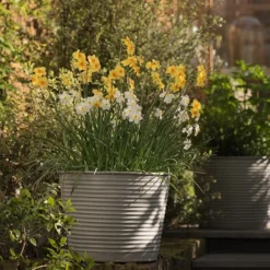 Ribbed Zinc Planter 12 Ribbed Zinc Planter -Garden & Outdoors pr2000028781 card3 lg