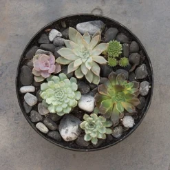 Rough Cast Aluminium Bowl - Charcoal Black -Garden & Outdoors pr2000028887 card6 lg