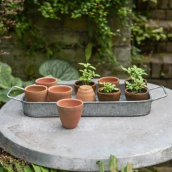 Terracotta Grow Pots - Set Of 10 With Tray 12 Terracotta Grow Pots - Set Of 10 With Tray -Garden & Outdoors pr2000029288 card4 lg
