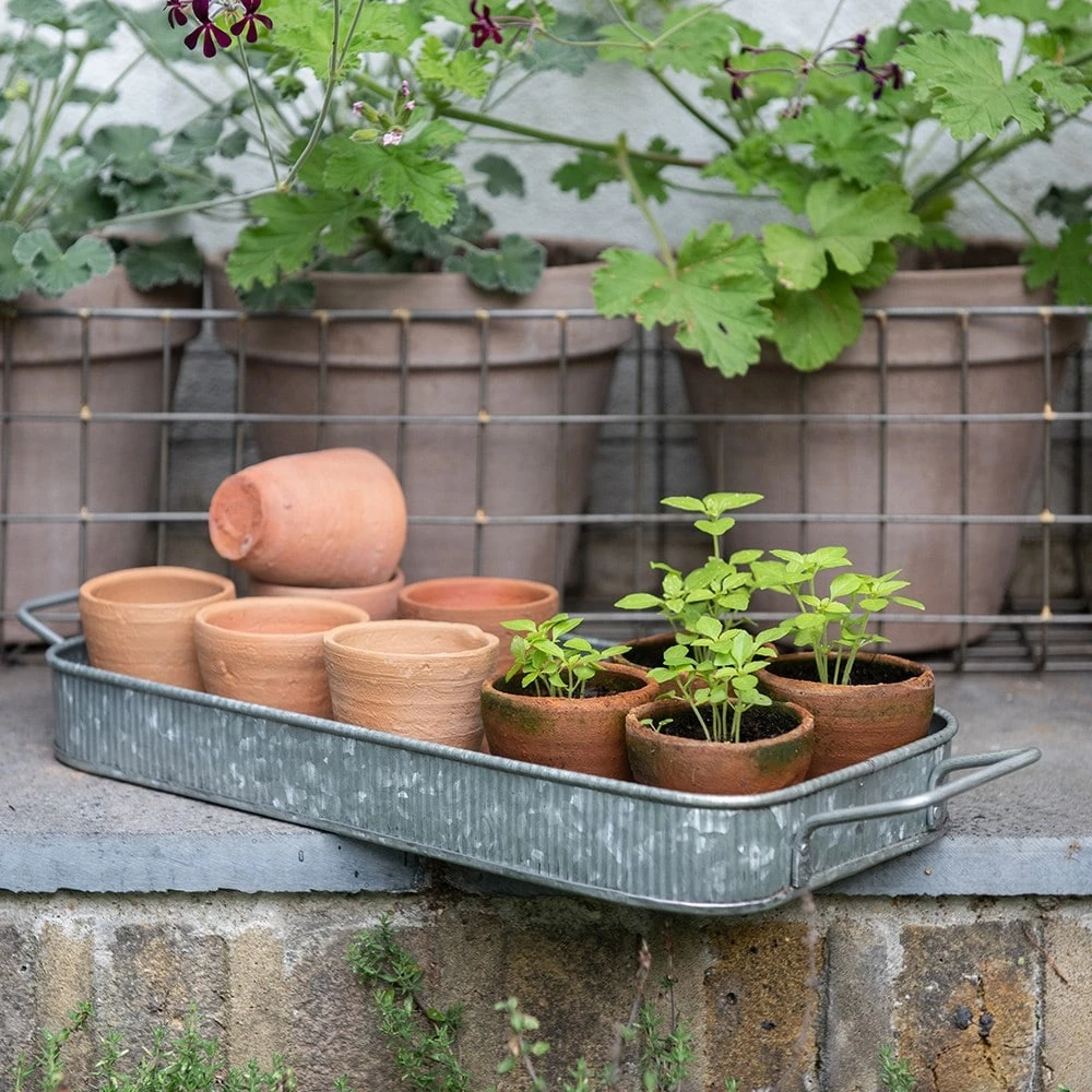 Terracotta Grow Pots - Set Of 10 With Tray 7 Terracotta Grow Pots - Set Of 10 With Tray - Image 7