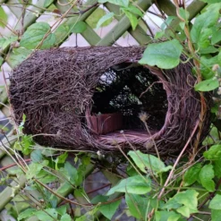 Brushwood Robin Nester 5 Brushwood Robin Nester -Garden & Outdoors pr2000029694 card3 lg