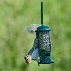 The Squirrel Buster Seed Feeder