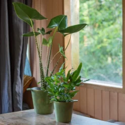 Cast Aluminium Pot Cover With Verdigris Patina -Garden & Outdoors pr2000031480 card6 lg