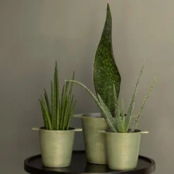 Cast Aluminium Pot Cover With Verdigris Patina -Garden & Outdoors pr2000031480 card8 lg