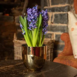 Polished Brass Pot Cover -Garden & Outdoors pr2000031483 card3 lg