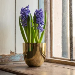 Polished Brass Pot Cover -Garden & Outdoors pr2000031483 card5 lg