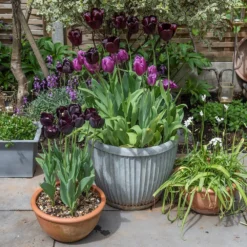 Zinc Dolly Pot 14 Zinc Dolly Pot -Garden & Outdoors pr2000031492 card7 lg