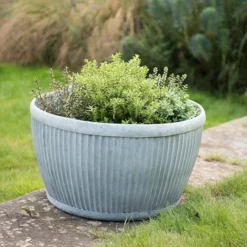 Zinc Dolly Bowl 8 Zinc Dolly Bowl -Garden & Outdoors pr2000031493 card4 lg