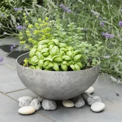 Sphere Plant Bowl -Garden & Outdoors pr2000031495 card3 lg