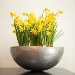 Sphere Plant Bowl -Garden & Outdoors pr2000031495 card6 lg