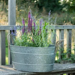 Galvanised Trough For Plants Or Drinks -Garden & Outdoors pr2000031501 card6 lg