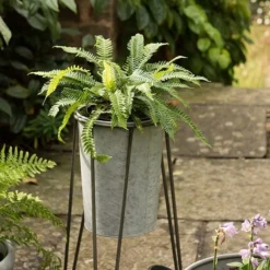 Tall Galvanised Planter With Stand -Garden & Outdoors pr2000031504 card4 lg