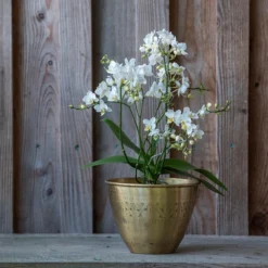 Solid Etched Brass Pot Cover -Garden & Outdoors pr2000031507 card5 lg