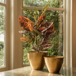 Solid Etched Brass Pot Cover -Garden & Outdoors pr2000031507 card8 lg