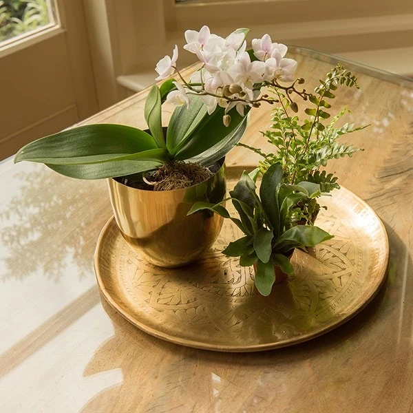 Solid Etched Brass Tray 2 Solid Etched Brass Tray - Image 2