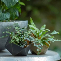 Geo Tealight Holder 19 Geo Tealight Holder -Garden & Outdoors pr2000031511 card10 lg