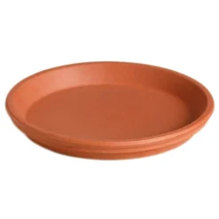 Water-resistant Italian Terracotta Saucer For Bowls