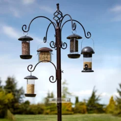 Elegance Bird Station