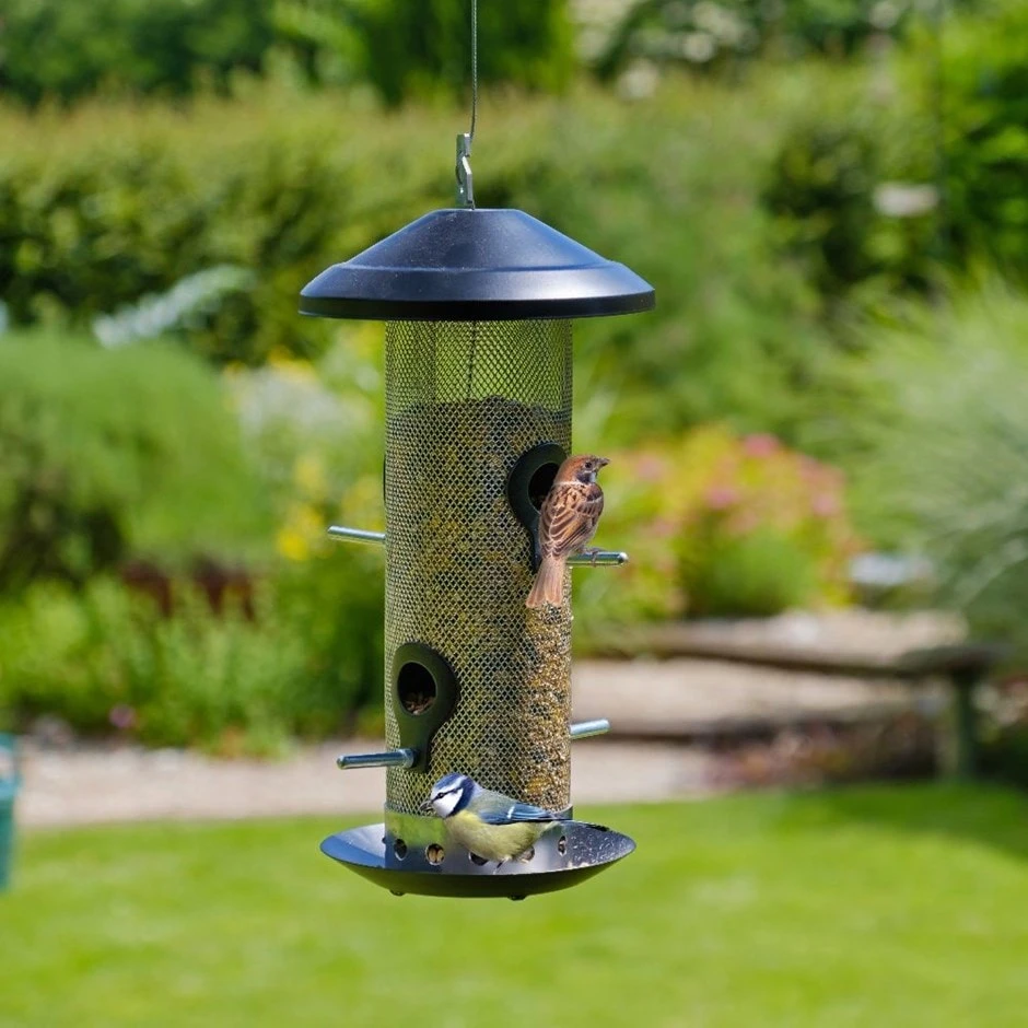 Stainless Steel Seed Feeder 1 Stainless Steel Seed Feeder