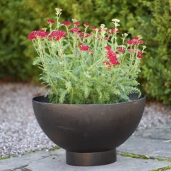 Garden & Outdoors 31 Iron Bowl Planter