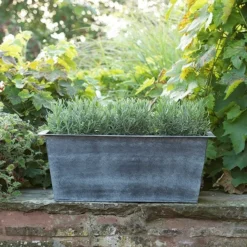 Plant Trough - Aged Zinc -Garden & Outdoors pr2000033930 card5 lg