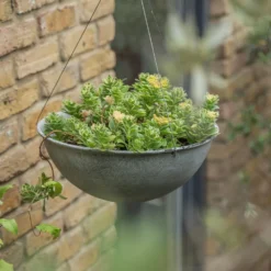 Hanging Bowl - Aged Zinc -Garden & Outdoors pr2000033957 card6 lg