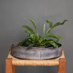 Pot Trays Aged Zinc - Set Of 3 -Garden & Outdoors pr2000033959 card3 lg