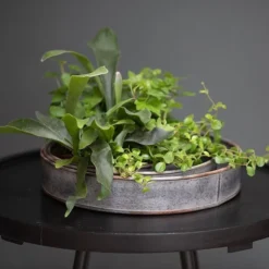 Pot Trays Aged Zinc - Set Of 3 -Garden & Outdoors pr2000033959 card6 lg