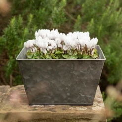 Dark Galvanised Square Planter -Garden & Outdoors pr2000033971 card3 lg