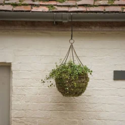 Hanging Tear Drop Basket - Wide -Garden & Outdoors pr2000033989 card3 lg