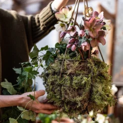 Hanging Tear Drop Basket - Slim -Garden & Outdoors pr2000033990 card3 lg