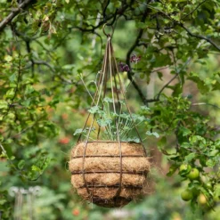 Hanging Tear Drop Basket - Slim -Garden & Outdoors pr2000033990 card4 lg