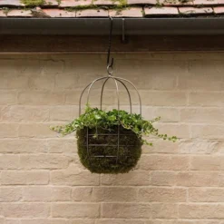 Hanging Plant Cage - Wide -Garden & Outdoors pr2000033991 card4 lg
