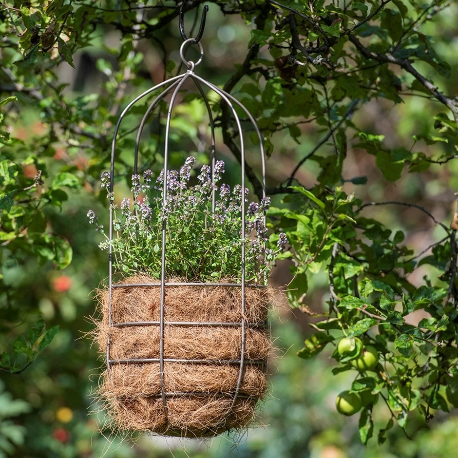 Hanging Plant Cage - Tall 1 Hanging Plant Cage - Tall