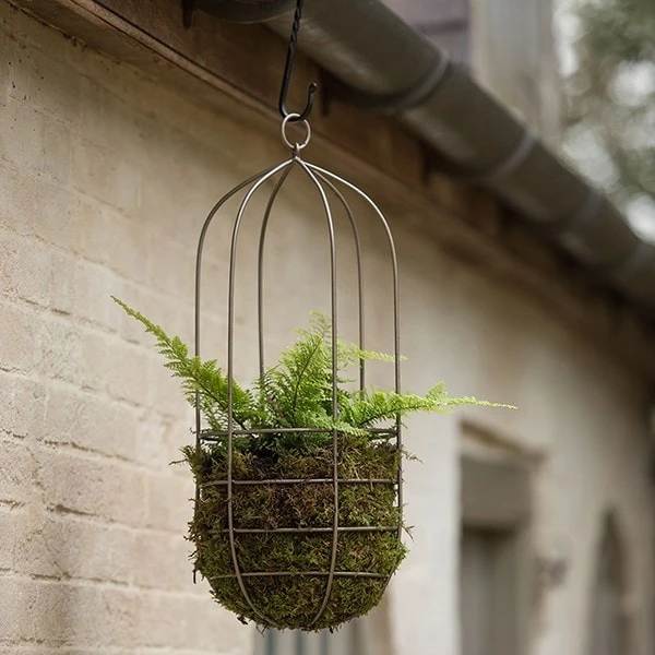 Hanging Plant Cage - Tall 2 Hanging Plant Cage - Tall - Image 2