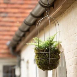 Hanging Plant Cage - Tall 6 Hanging Plant Cage - Tall -Garden & Outdoors pr2000033992 card3 lg