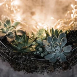 Hanging Wreath Basket -Garden & Outdoors pr2000033995 card3 lg