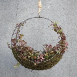 Hanging Wreath Basket -Garden & Outdoors pr2000033995 card6 lg