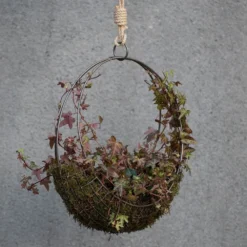 Hanging Wreath Basket -Garden & Outdoors pr2000033995 card8 lg