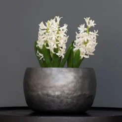 Zinc Bowls - Set Of 3 -Garden & Outdoors pr2000033999 card3 lg