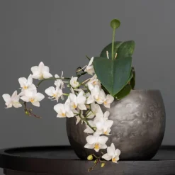 Zinc Bowls - Set Of 3 -Garden & Outdoors pr2000033999 card4 lg