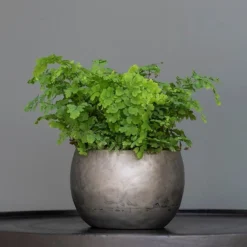 Zinc Bowls - Set Of 3 -Garden & Outdoors pr2000033999 card5 lg