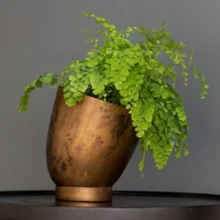 Tilting Pot - Brass -Garden & Outdoors pr2000034009 card4 lg