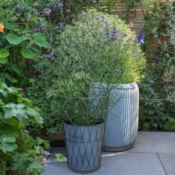 Planter In Lattice Basket Surround 9 Planter In Lattice Basket Surround -Garden & Outdoors pr2000034026 card3 lg