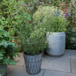 Planter In Lattice Basket Surround 11 Planter In Lattice Basket Surround -Garden & Outdoors pr2000034026 card5 lg