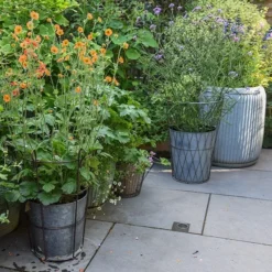 Planter In Lattice Basket Surround 12 Planter In Lattice Basket Surround -Garden & Outdoors pr2000034026 card6 lg